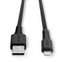 Lindy - Câble USB Type A vers Lightning, Noir, 1m