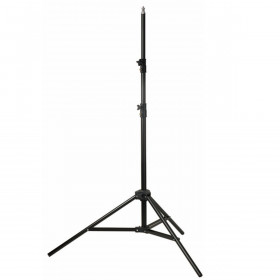 Godox 302 Lampstatarian