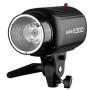 Godox Studio Kit E300 F