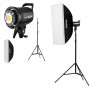 Godox SL60W Duo Pro Kit Video