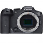 Canon EOS R7 boitier nu (bague d'adaptation EF-EOS R incluse)