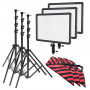 Godox ledp260c trio tripod kit