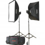 Godox MS300 F Kit flash 2 torches 300 Ws