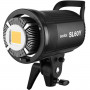 Godox SL60Y