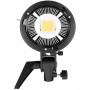 Godox SL60Y