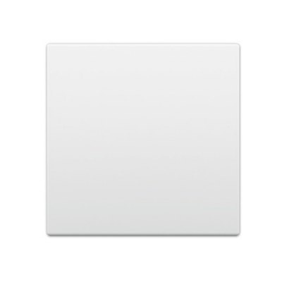 Extron White