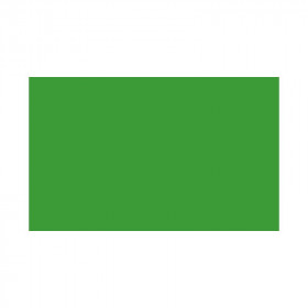 BD Rouleau fond papier  2,72 x 11 m VERI GREEN