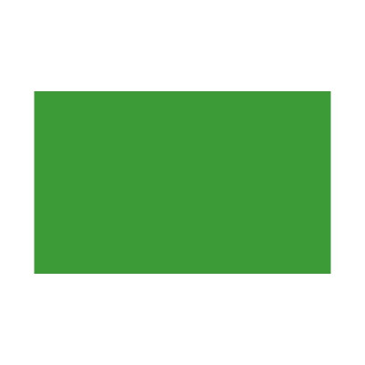 BD Rouleau fond papier  2,72 x 11 m VERI GREEN