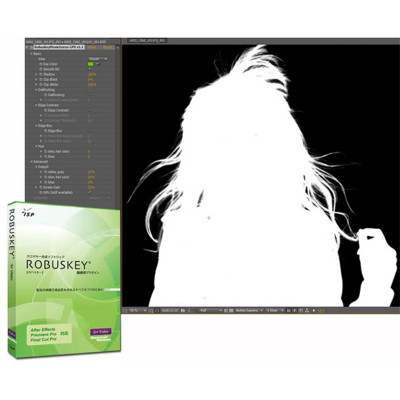 DIUS ROBUSKEY for Video software plug-in for EDIUS X/9 and others