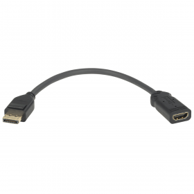 Extron DisplayPort Male to HDMI F Active Adapter Cable -  6" (15 cm)