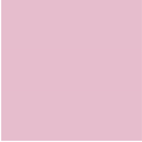 Lee Filters Filtre gélatine 035 effet Light Pink Feuille 122x53cm