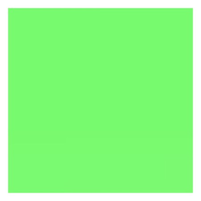 Lee Filters Filtre gélatine 122 effet Fern Green Feuille 56x50cm