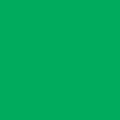 Lee Filters Filtre gélatine 124 effet Dark Green 25x25cm Vert Clair
