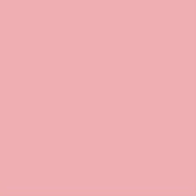Lee Filters Filtre gélatine 153 effet Pale Salmon Feuille 122x53cm