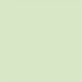 Lee Filters Filtre gélatine 189 effet Cosmetic Silver Moss Feuille