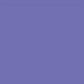 Lee Filters Filtre gélatine 199 effet Regal Blue Feuille 122x53cm