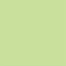Lee Filters Filtre gélatine 244 correcteur LEE Plus Green Feuille