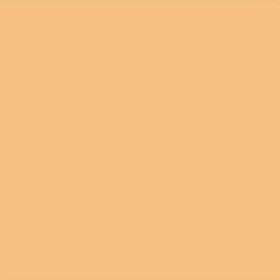 Lee Filters Filtre gélatine 441 correcteur Full C.T. Straw Feuille