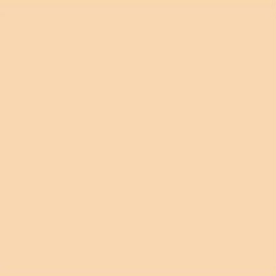 Lee Filters Filtre gélatine 442 correcteur Half C.T. Straw Feuille