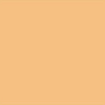 Lee Filters Filtre gélatine 441 correcteur Full C.T. Straw Rouleau