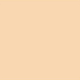 Lee Filters Filtre gélatine 442 correcteur Half C.T. Straw Rouleau