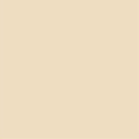Lee Filters Filtre gélatine 443 correcteur Quarter C.T. Straw Rouleau