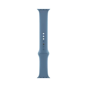 Apple Bracelet Apple Watch 45 Slate Blue SP