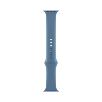 Apple Bracelet Apple Watch 45 Slate Blue SP