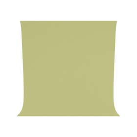 WESTCOTT Fond stretch Light Moss Green - 2.70 x 3 m