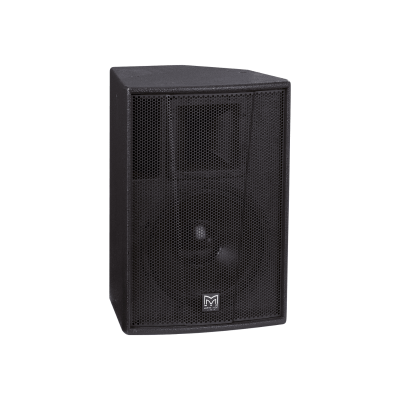 Martin Audio Martin Audio / ENCEINTES POINT SOURCE / FIN DE SERIE / 2