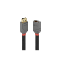Lindy Rallonge DisplayPort 1.4 Anthra Line, 2m
