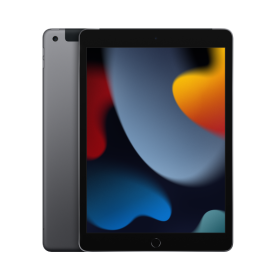 Apple iPad (2021) 64 Go Wi-Fi + Cellular Gris Sidéral