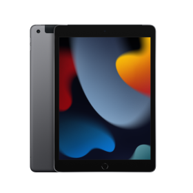 Apple iPad (2021) 256 Go Wi-Fi + Cellular Gris Sidéral
