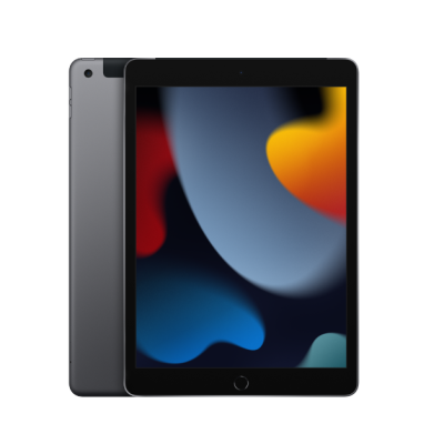Apple iPad (2021) 256 Go Wi-Fi + Cellular Gris Sidéral
