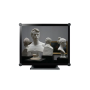 Neovo - Ecran Tactile Capacitif 10pts 17p 4/3, 250cd, IP65 - Noir