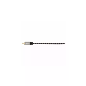 Avinity Câble Subwoofer + adap. f. RCA fm.-2 f. RCA mâles doré3,0m