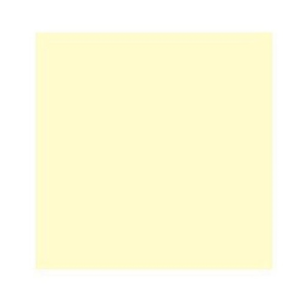 Cokin Filter Z729 Yellow CC (CC50Y)
