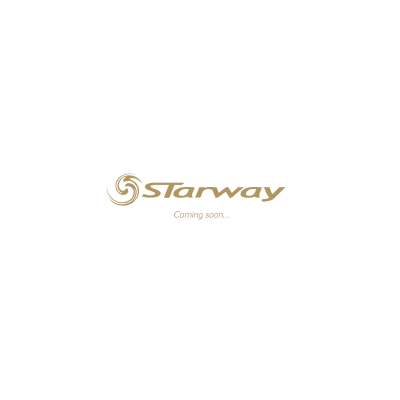 Starway STUDIO 500DW