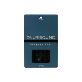 Bluesound Lecteur musique réseau amplifié 100 V - B170S