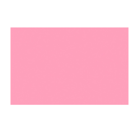Colorama Fond Papier Studio 1.35 X 11M Carnation