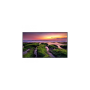 Samsung Ecran 65'' LFD 16:9 24h/7j UHD (3840x2160) 500cd/m² Tizen 4.0