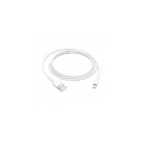 Apple Câble Lightning vers USB - 1 m