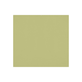 Westcott X-Drop Pro Fond stretch Light Moss Green - 2,40 x 2,40 m