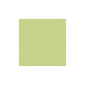 LEE Filters - The LEE Bug Green Water Filter