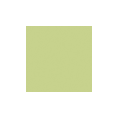 LEE Filters - The LEE Bug Green Water Filter