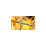 Acome - Câble CR1C1-FO 4xOS2 I/E acier renf. fibre de verre Orange