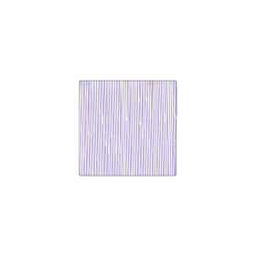 Schneider CF TRUE-STREAK® CLEAR 2MM M82