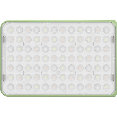 Amaran Ace 25x Green