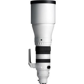 Sigma Objectif SPORTS 300-600mm F4 DG OS pour monture Sony-E