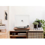 Elipson Chroma 400 RIAA Bt Noyer (Préampli Intégré - Bluetooth)